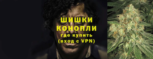 шишки Михайловск