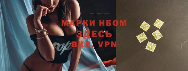 шишки Михайловск