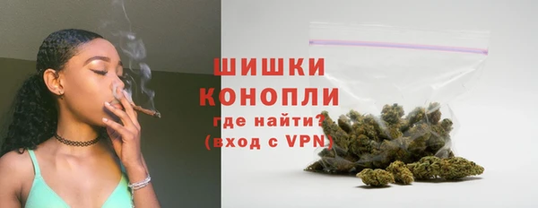 шишки Михайловск