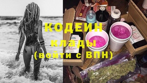 шишки Михайловск
