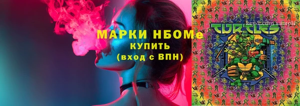 шишки Михайловск